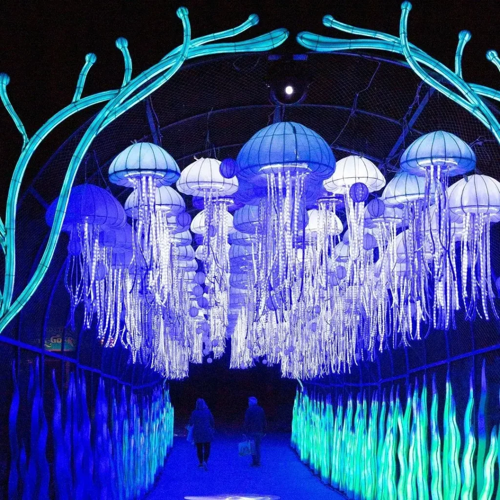 ‘Wildlights’ At The Living Desert